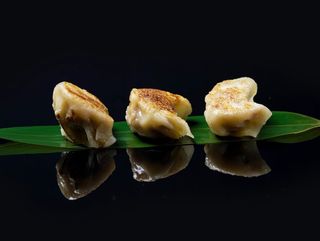 28 Gyoza di carne griglia 4 pezzi