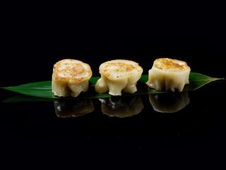 29 Gyoza shaomai griglia 4pezzi