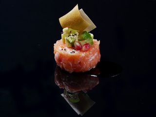 30 Tartar Salmone