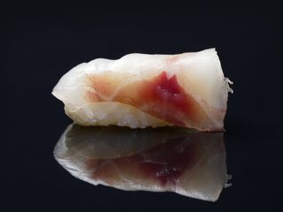 41 Suzuki Branzino
