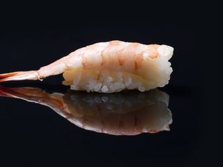 44 Ebi