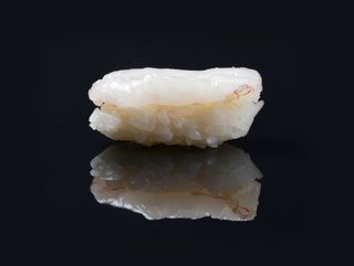 45 Amaebi