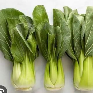 小白菜 Pak-Choi