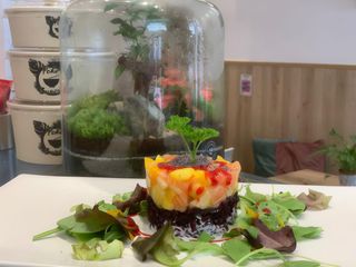 Tartare di salmone