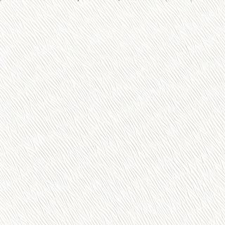 Pinsa patate e pancetta