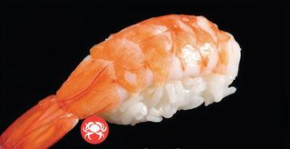 61. Ebi