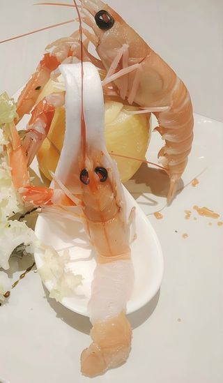95. Sashimi di scampi