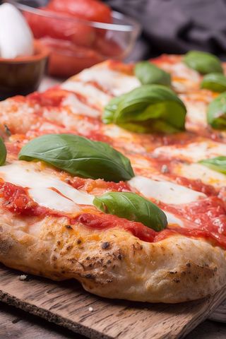 Pizza normale Margherita
