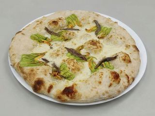  Fiorita e alici bianca