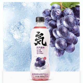 Uva frizzante 480ml (In bottiglia)