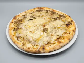 Segugio