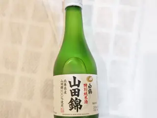sake freddo