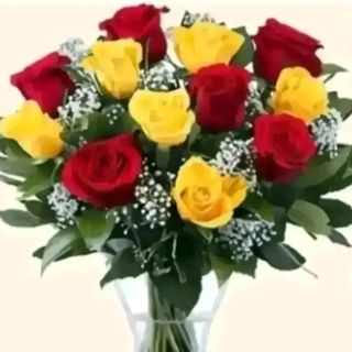 6 rose rosse 6 rose gialle