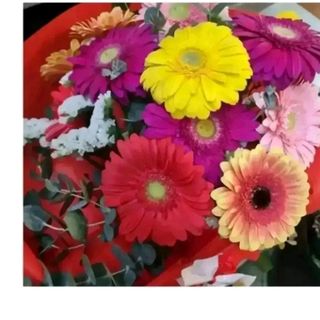 10 gerbere miste