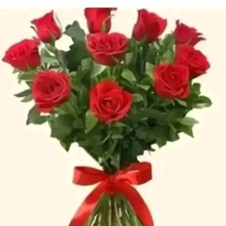 10 rose rosse