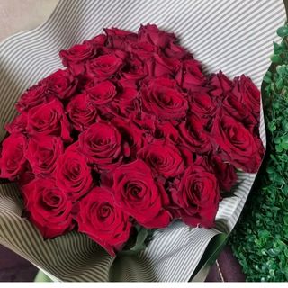 30 rose rosse compatte