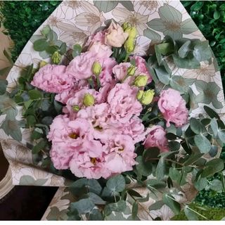 lisiantus rosa ed Eucalipto