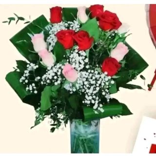 6 rose rosse e 6 rose rosa