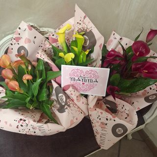 01 pianta di calla. confezione w la mamma e biglietto omaggio. colore a scelta del negozio