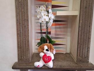 orchidea bianca in ceramica con pelushe grande