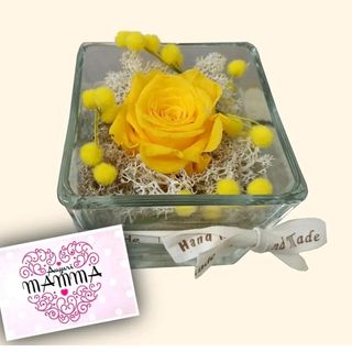 rosa stabilizzata gialla. biglietto omaggio