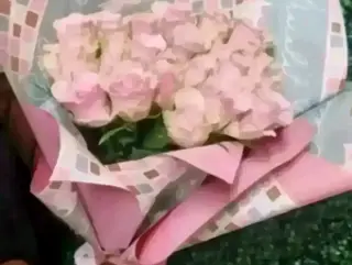 10 rose rosa