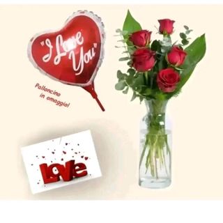 5 rose rosse con aspidistra