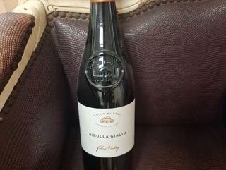 ribolla gialla villa folini