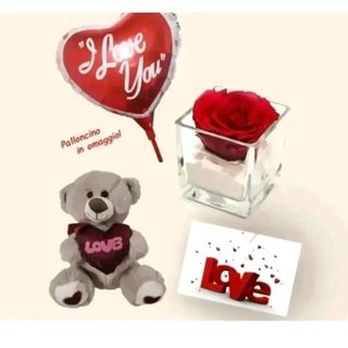 rosa stabilizzata in plexiglas con pelushe piccolo