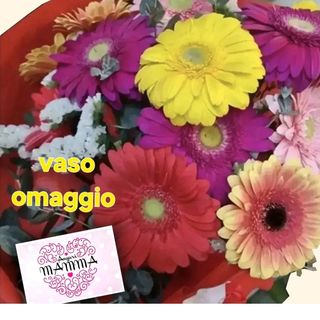 10 gerbere colorate. biglietto e vaso omaggio