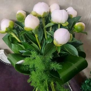 10.peonie bianche