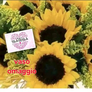 5 girasoli. biglietto e vaso omaggio