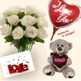 12 rose bianche con pelushe piccolo