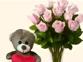 12 rose rosa con pelushe piccolo