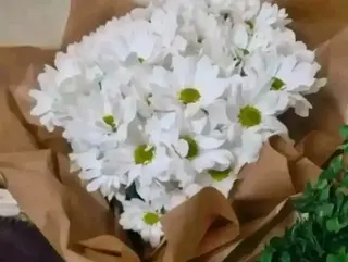 bouquet di Margherite bianche