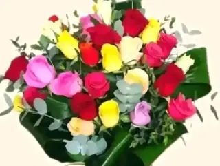 20 rose colorate