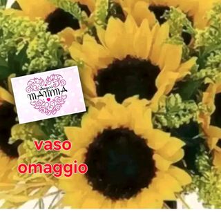 7 girasoli e solidago. biglietto e vaso omaggio