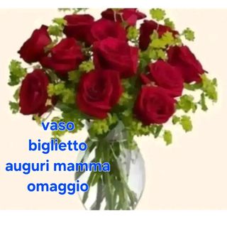 12 rose rosse . biglietto e vaso omaggio