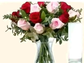 6 rose rosse e 6 rose rosa con vaso