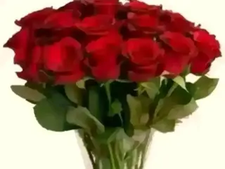 20 rose rosse