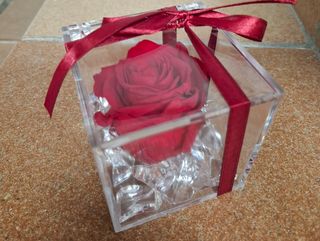 rosa rossa stabilizzata in plexiglas