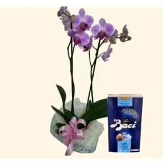 orchidea viola con baci perugina 200 gr