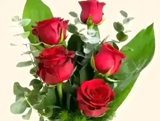 5 rose rosse con foglie