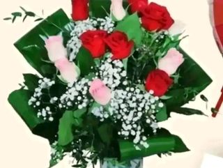 6 rose rosse e 6 rose rosa con foglie aspidistra