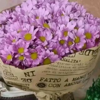 bouquet di margheritine rosa o fuxia