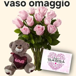 12 rosa rosa con pelushe piccolo . biglietto e vaso omaggio