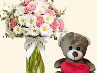 bouquet di Margherite Olandesi e pelushe piccolo