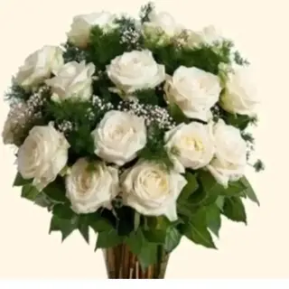 12 rose bianche