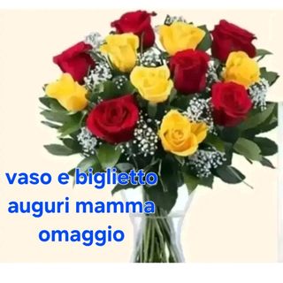 6 rose rosse e 6 rose gialle. biglietto e vaso omaggio