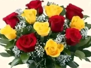 6 rose rosse e 6 rose rosa con nebbiolina